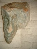 janus